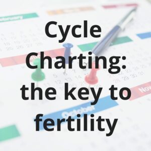 CME cycle charting course for providers poster for my first webinar
